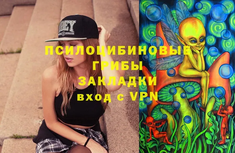 Псилоцибиновые грибы Magic Shrooms  Копейск 